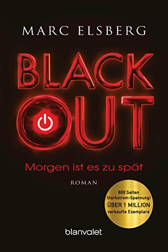 BLACKOUT - Morgen ist es zu spät: Roman