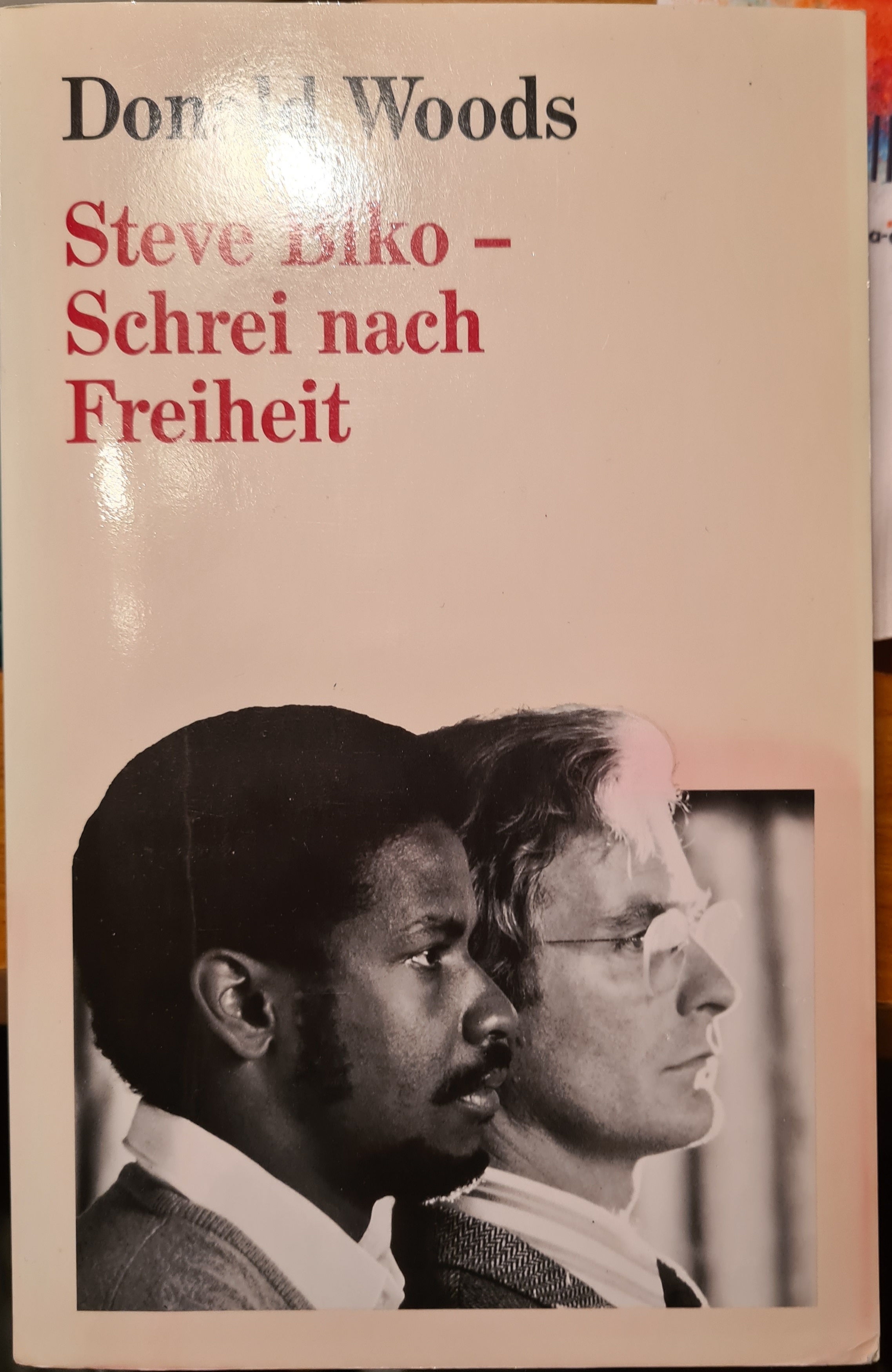 Steve Biko: Schrei nach Freiheit